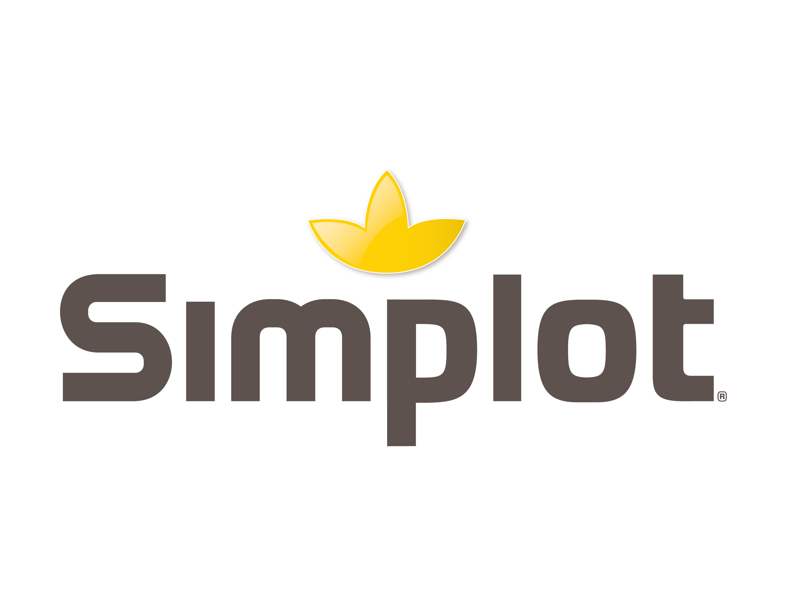 sponsors_chairman:platinum_sponsor_name